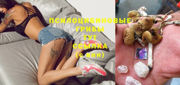кокаин премиум Каменка