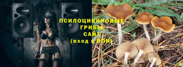 мяу мяу мука Каменногорск