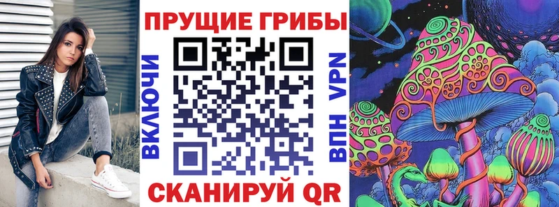 Купить закладки  Егорьевск  Псилоцибиновые грибы Psilocybe 