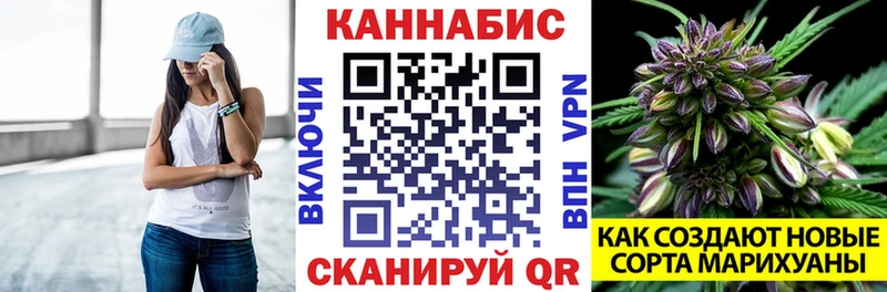 Конопля MAZAR  Купить закладки  Егорьевск 